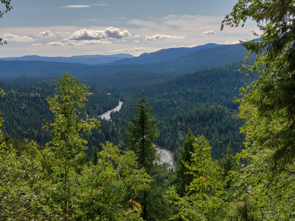 osprey lookout