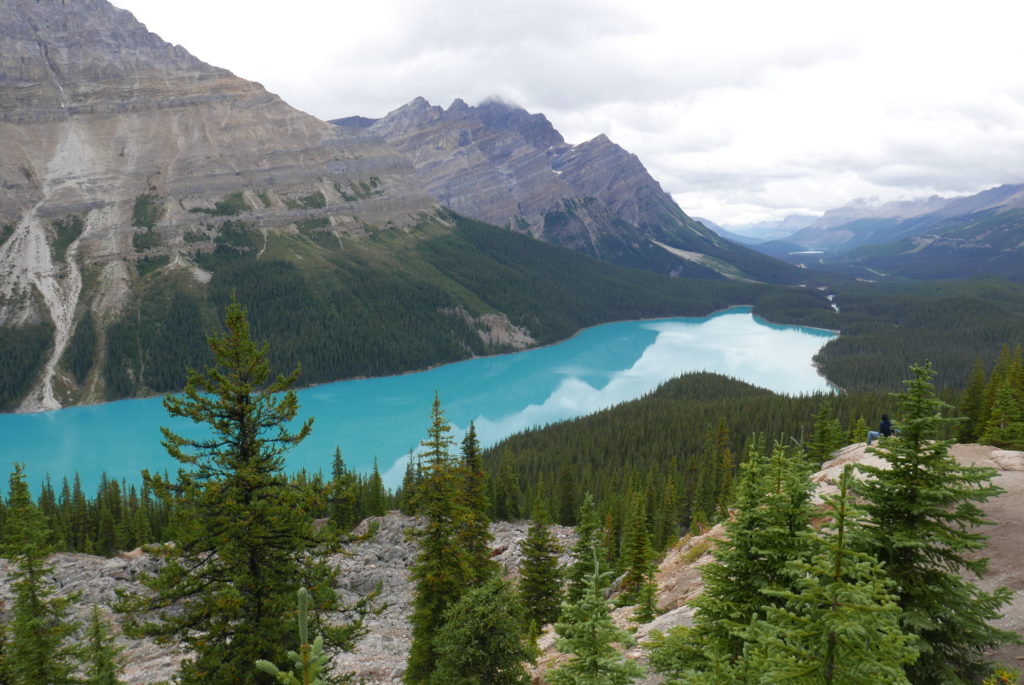 peyto lake